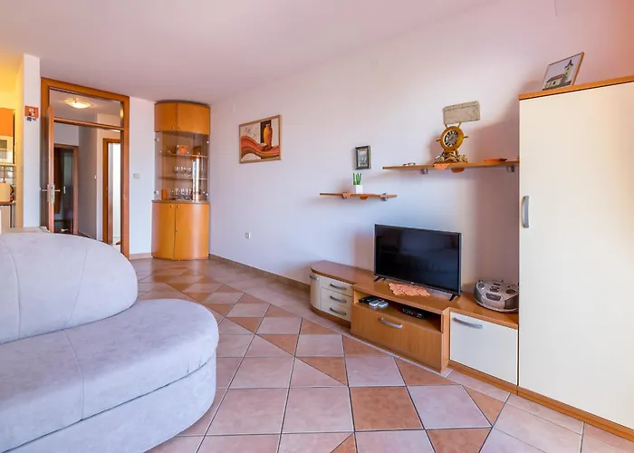 Mira Zarok 巴斯卡